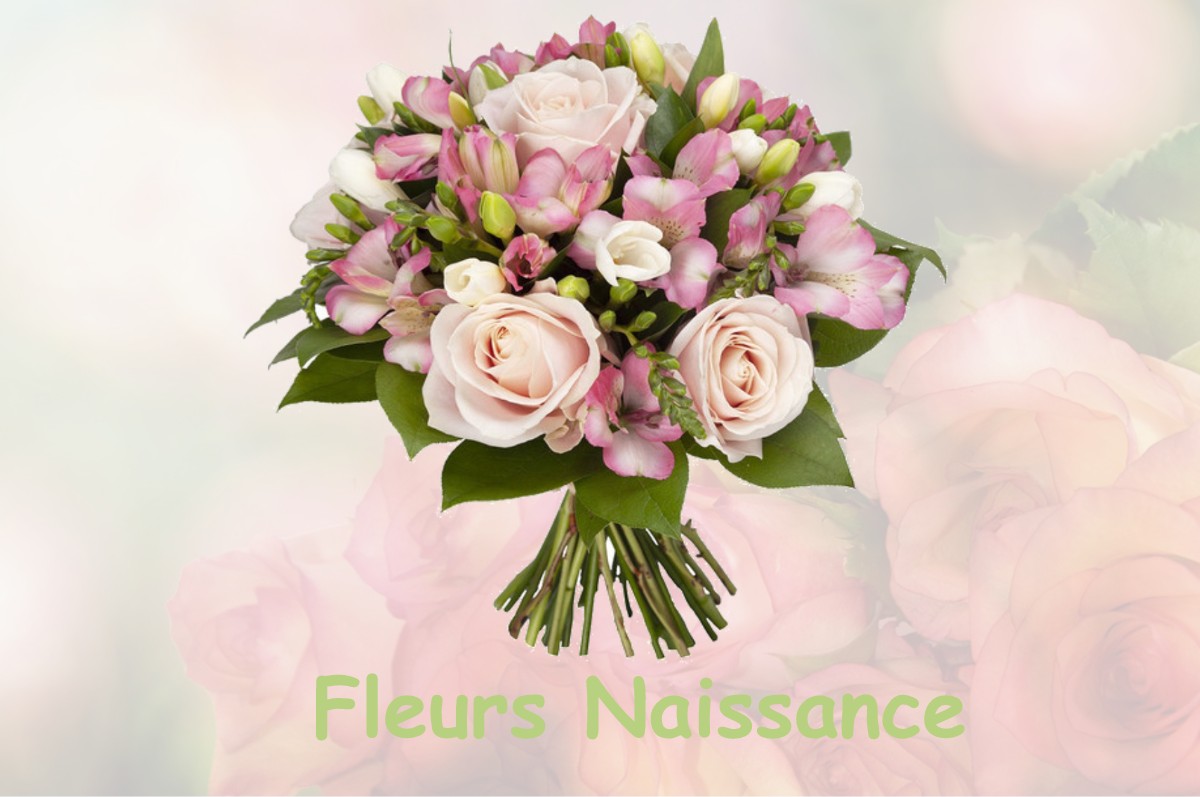 fleurs naissance GIVRAUVAL