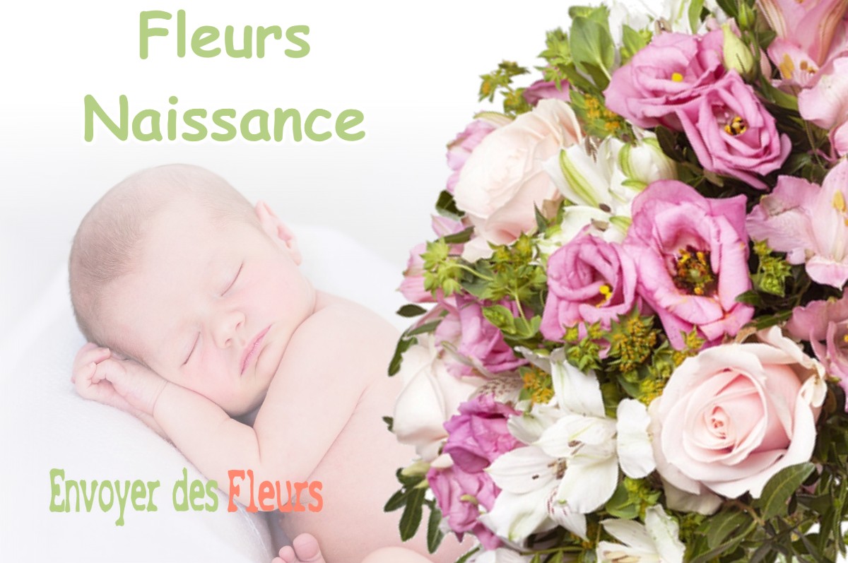 lIVRAISON FLEURS NAISSANCE à GIVRAUVAL